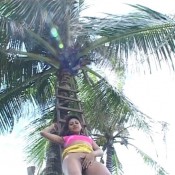 solo scat girls top brazilian favela girl alicia sg-video