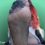 fishnet fetish freak - 4k mistresslucyxx