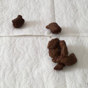 poop during menstruation markovna