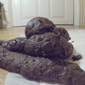 loverachelle2 -big beautiful shits-