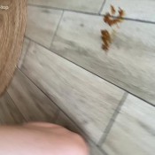 2 girlfriends shit stinky poop markovna