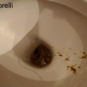 good girls keep their ass clean! hd fedoramorelli