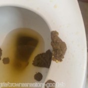 destroying my bathroom brownsensations