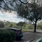 sammieonthepenis shit vlog