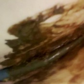 bikini pooped and ruined hd The fart babes