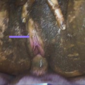 cursed amateur backroom scat dirtybetty sweet betty parlour