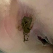 are you ready my slave? hd the fart babes