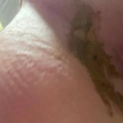 serve me toilet slave hd the fart babes