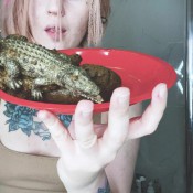 Croc Toy And Crazy Scat Girl Dirtybetty Sweet Betty Parlour