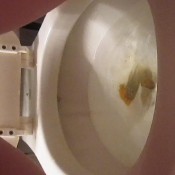 shitty situation! taco time explosion sexyscatforyou