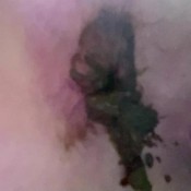 marvelous food 4 slave hd The fart babes