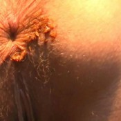 martinasuckholeshit the fart babes