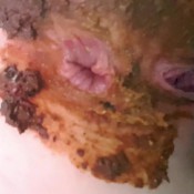 bikini push huge shit hd the fart babes