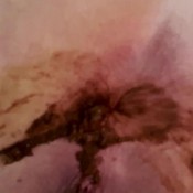 born to serve my poop hd the fart babes