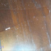 teriyaki poopy!scarlettmarie-teriyaki-poopy