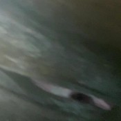 a girl still has to shit mistressmystique