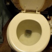 oven poopy!scarlettmarie-oven-poop