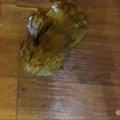 pooping my bathroom sink! hd scatlover72 scarlett marie