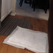 big poo in the kitchen!big-poo-in-the-kitchen