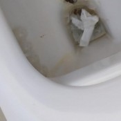 lots of little poops on toilet hd poogirlsofia diapergirlsofia