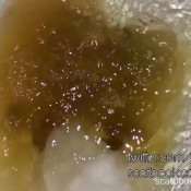 letherripp new clip! jezebel juice