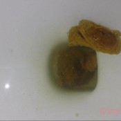 pooping in the political science building on c and us! hd scatlover72 scarlett marie