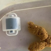 i shit in a clear bucket hd marinayam19