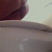 badbonnieog morning my hungry toilet sluts