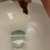 regularly shitting on toilet, front view marinayam19