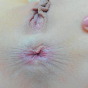 my dirty asshole , close u 4k jeyssy69