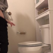 peeing in my toilet destinationkat