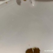 delilahmoonx pooping at the airbnb