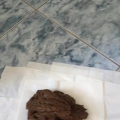 Kocicka16 I Poop And There Is A Lot Of Caviar Cutekitty