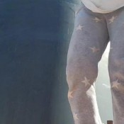 kamasutracandy hey sluts i got your daily dose of ass and poo kamasutra candy