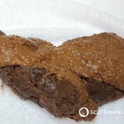 blooper pooper pt 4 3-day hold for custom constipation vid comes out half liquid kitty skatt