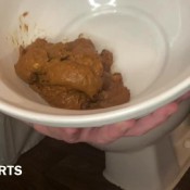 Shipping Two Corn Filled Loads Ruby Farts Ruby Stone