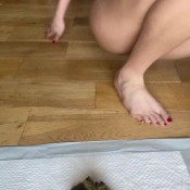Misscherryoxo Feed Off My Dirty Asshole