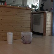 scat movie world gingers first scat session