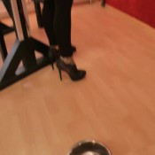 scat movie world feedingtime