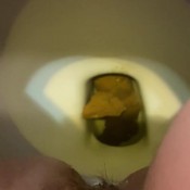 yourfavoritefartgirl oh! em gee