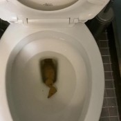 yourfavoritefartgirl was that