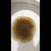 David Dez Demona Rhea Droppingapples