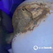 Filthyhen Im So Filthy FilthyJapaneseGirl