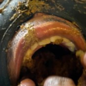 Suffocating Him With My Foul Smelling Dumps Smutty_luce Smutty Luce