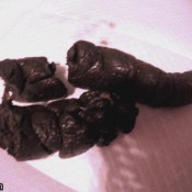 Loverachelle2 Pushing 3 Poopers