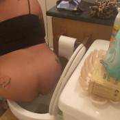 Lustfulglance All Day Toilet