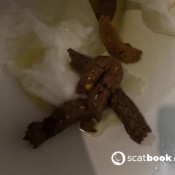 My Messiest Smelliest Poops Plus Public Poop Classy N Gassy ClassyNgassy