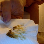 Tabootha Toilet Fetish Peeing And Going 2 Showed Camera