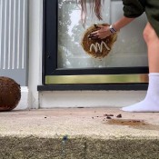 Lillyvig Halloween Poo Pumpkin Painting Lilly Vig