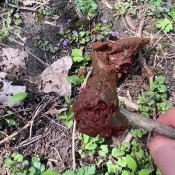 Goddessnixie123 Nature Poop Goddess Nixie